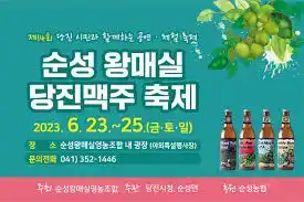 순성왕매실&당진맥주축제