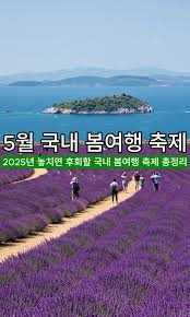 2025년 섬 함초 축제