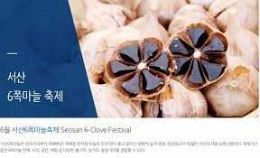 서산6쪽마늘축제