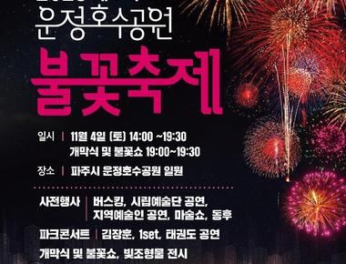 운정호수공원 불꽃축제