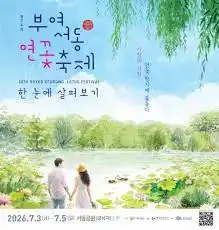 제24회부여서동연꽃축제