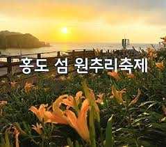섬 홍도 원추리꽃 축제