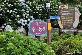 남부면 수국축제