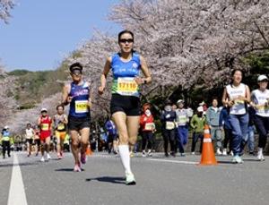 합천벚꽃마라톤대회