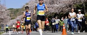 합천벚꽃마라톤대회