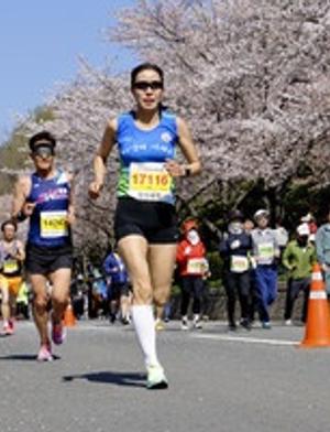 합천벚꽃마라톤대회