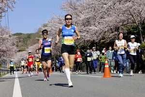합천벚꽃마라톤대회