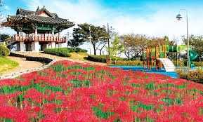 남산공원 꽃무릇 축제