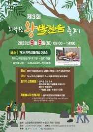 치악산왕발걸음축제