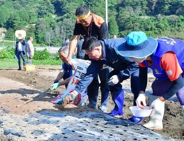 북쪽하늘아래 산촌산나물축제