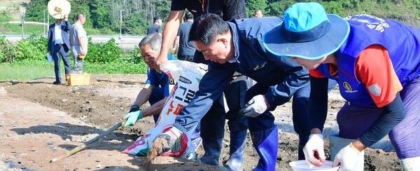북쪽하늘아래 산촌산나물축제