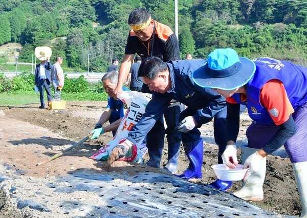 북쪽하늘아래 산촌산나물축제