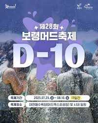 제28회 보령머드축제