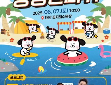 태안 반려동물 해변운동회