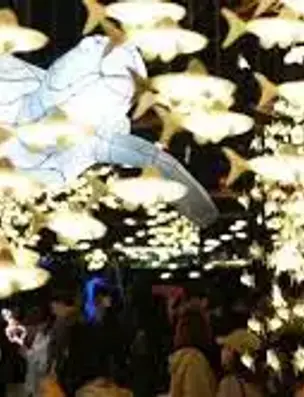 제24회광안리어방축제