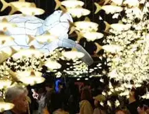 제24회광안리어방축제