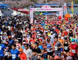 합천벚꽃마라톤대회