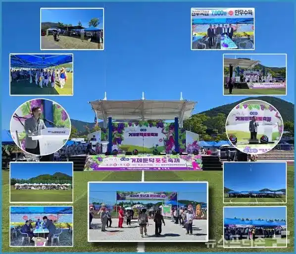 거제둔덕포도&한우축제