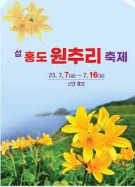섬 홍도 원추리꽃 축제