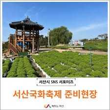 서산국화축제