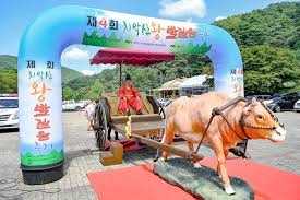 치악산왕발걸음축제