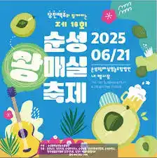 순성왕매실&당진맥주축제