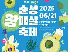 순성왕매실&당진맥주축제