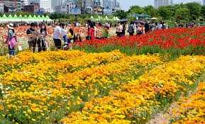 태화강 국가정원 봄꽃축제