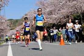 합천벚꽃마라톤대회