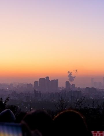 신년 해맞이축제