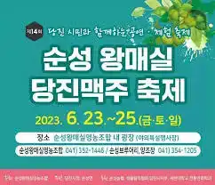 순성왕매실&당진맥주축제