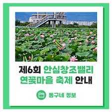 안심창조밸리 연꽃마을 축제