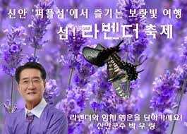 라벤더 축제