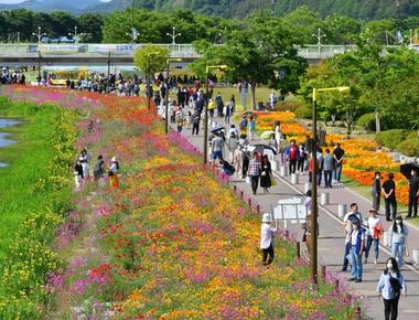 황룡강 (洪)길동무 꽃길 축제