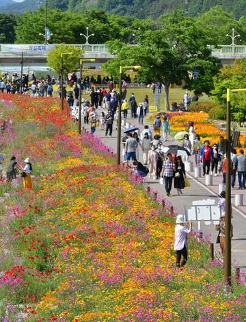 황룡강 (洪)길동무 꽃길 축제