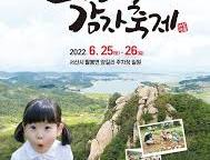 팔봉산 �감자축제