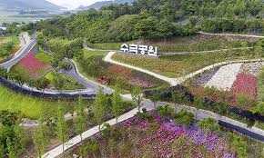 제6회 섬 수국축제