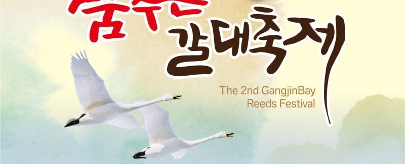 강진만 춤추는 갈대축제