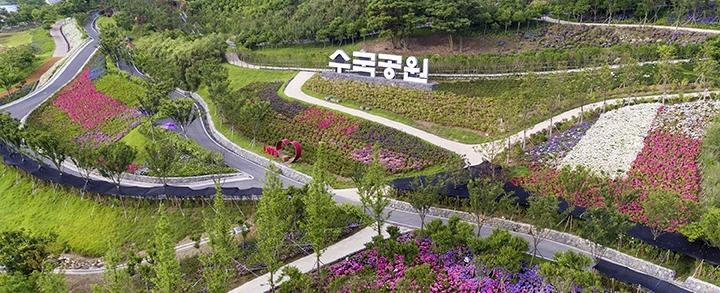 제6회 섬 수국축제