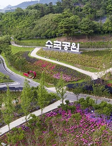 제1회 섬 목수국축제