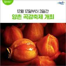 2025 양촌곶감축제