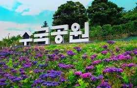 제6회 섬 수국축제