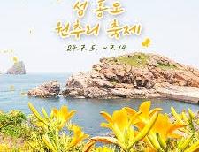 섬 홍도 원추리꽃 축제