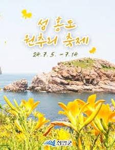 섬 홍도 원추리꽃 축제