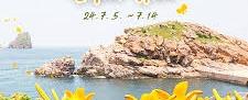 섬 홍도 원추리꽃 축제