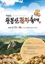 팔봉산 감자축제