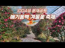 2025년 섬 겨울꽃 축제