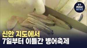 섬 병어축제