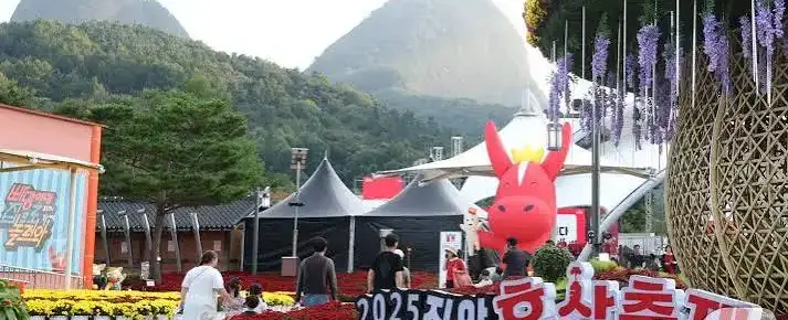 진안홍삼축제