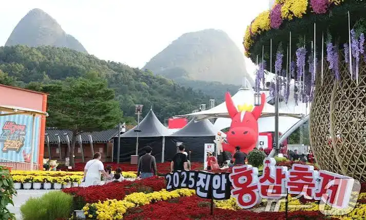 진안홍삼축제